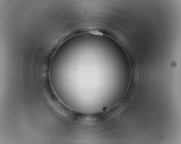 X0000112830546200908211219