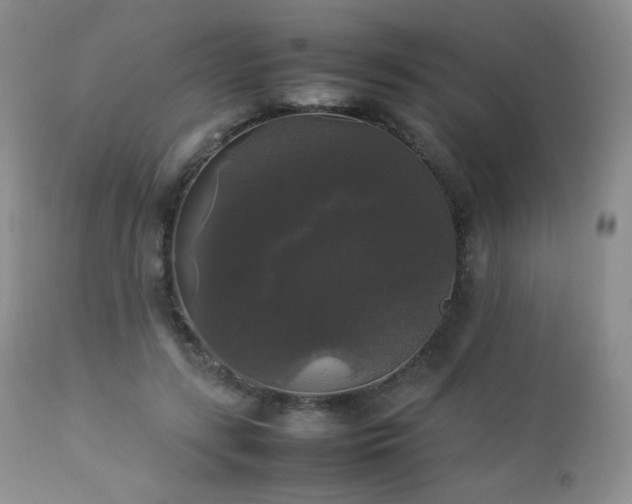 X0000112830547200908211219