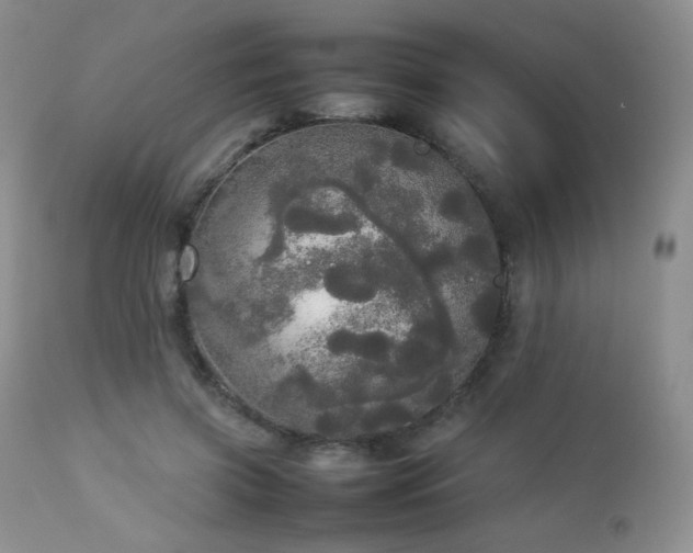 X0000112830549200908211219