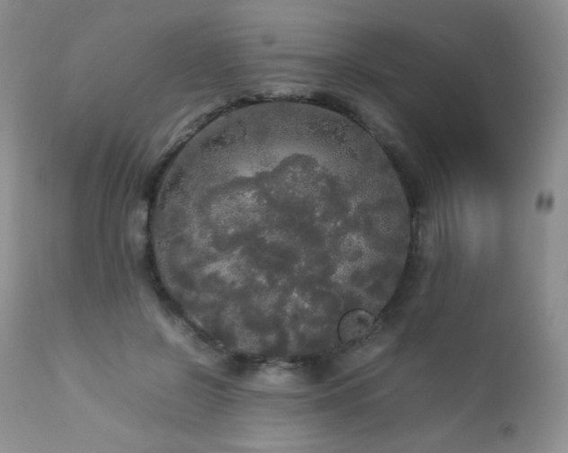 X0000112830550200908211219