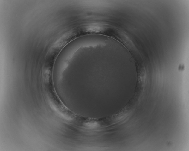 X0000112830551200908211219