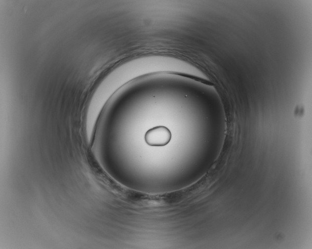 X0000112830552200908211219