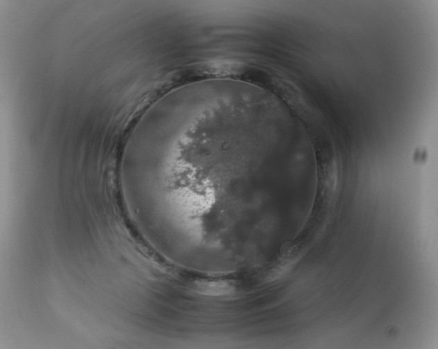 X0000112830553200908211219