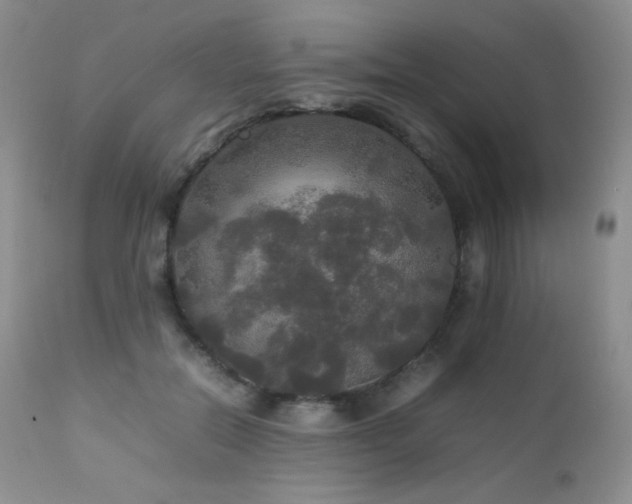 X0000112830554200908211219