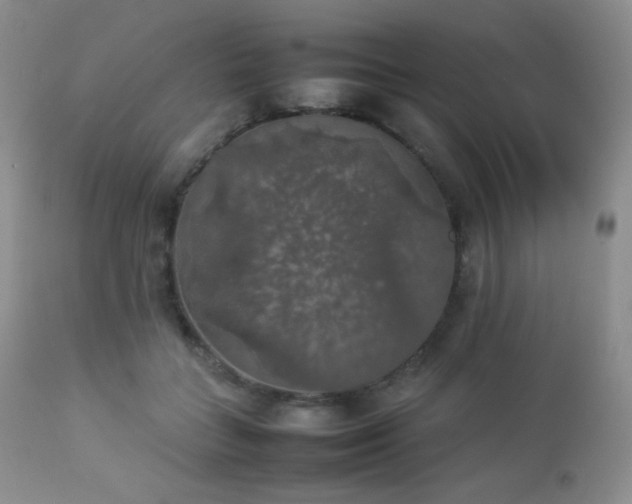 X0000112830555200908211219