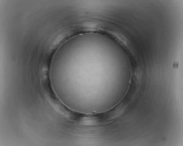 X0000112830556200908211219