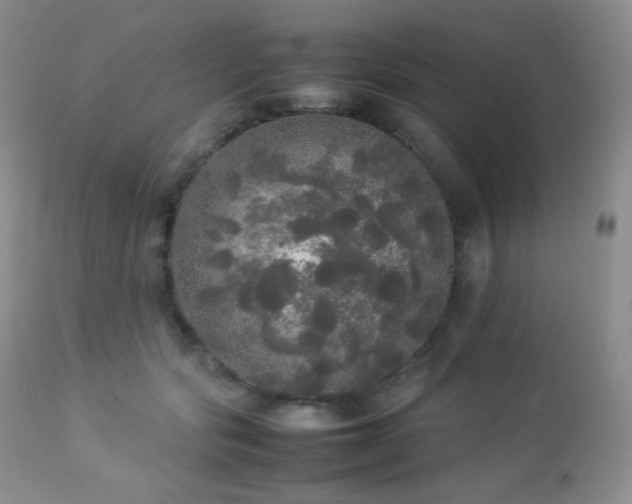 X0000112830557200908211219