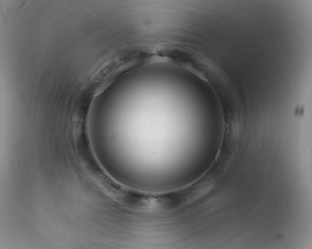 X0000112830558200908211219