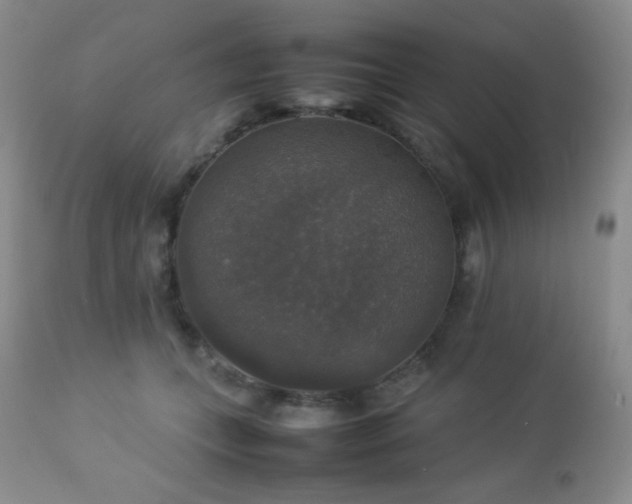 X0000112830559200908211219