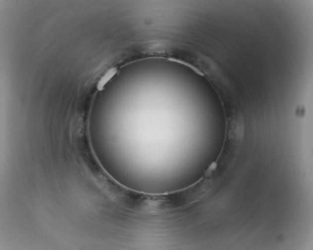 X0000112830560200908211219