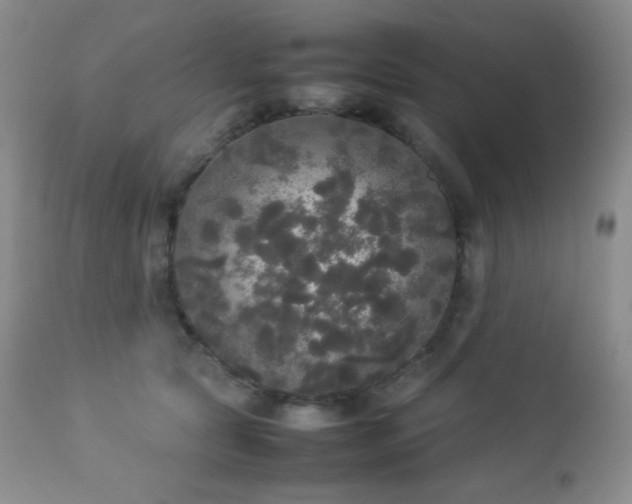 X0000112830561200908211219