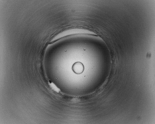 X0000112830562200908211219