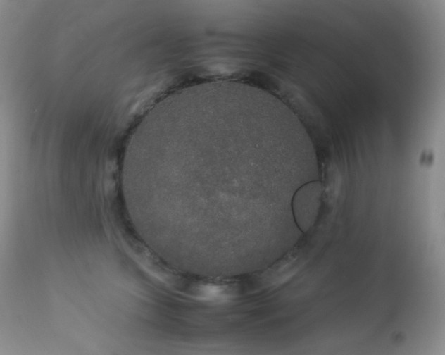 X0000112830563200908211219