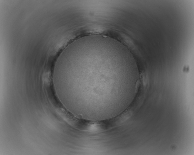 X0000112830564200908211219