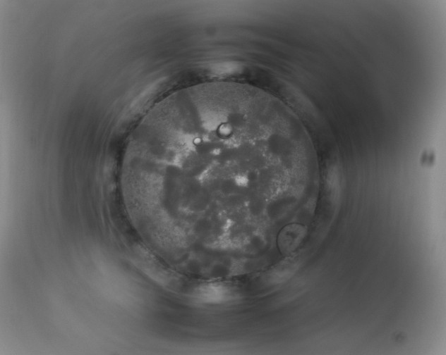 X0000112830565200908211219