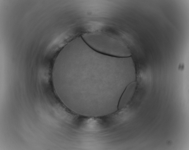 X0000112830566200908211219