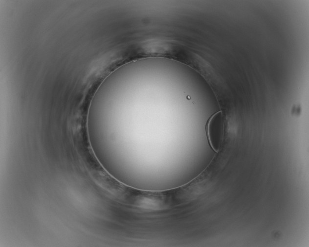 X0000112830567200908211219