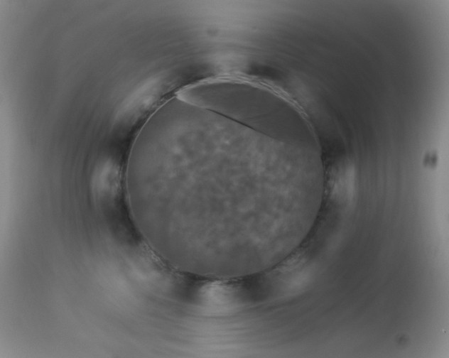 X0000112830568200908211219