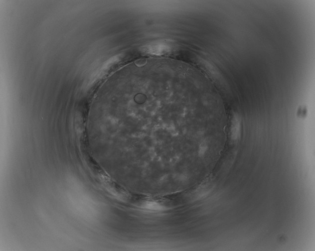 X0000112830569200908211219