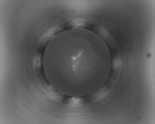 X0000112830570200908211219