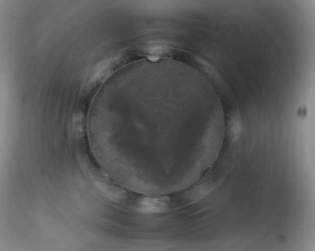 X0000112830571200908211219