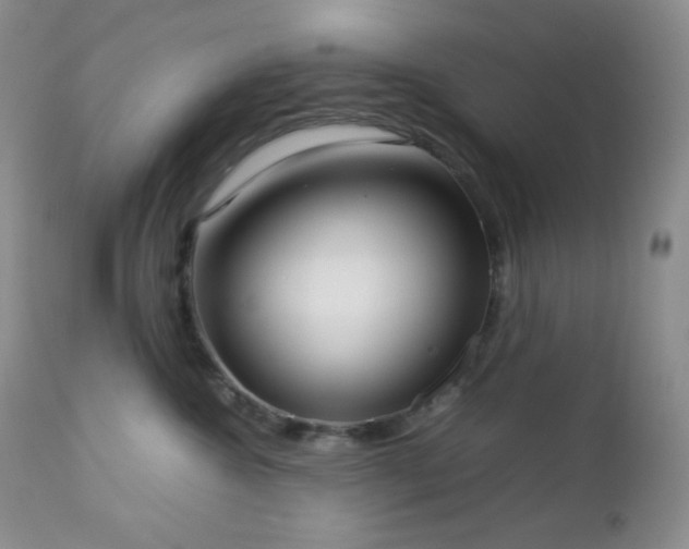 X0000112830572200908211219