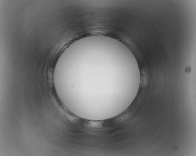 X0000112830573200908211219