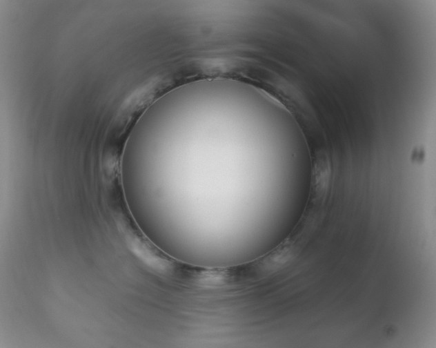 X0000112830574200908211219