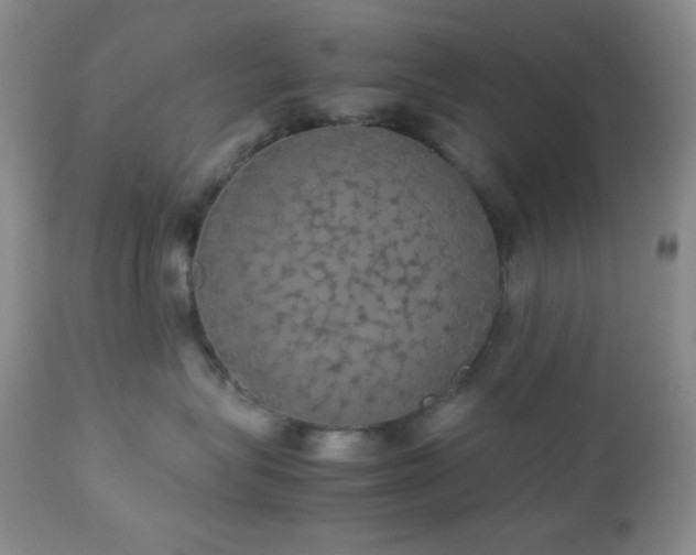 X0000112830575200908211220