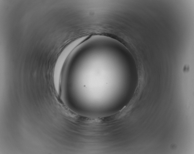 X0000112830576200908211220