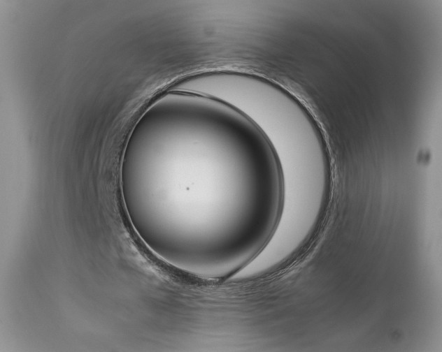 X0000112830577200908211219