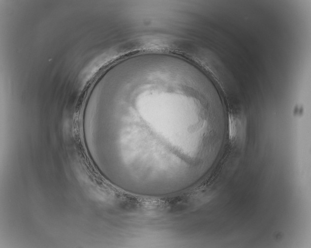 X0000112830579200908211219