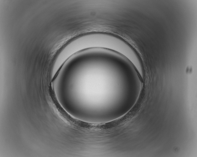 X0000112830581200908211219