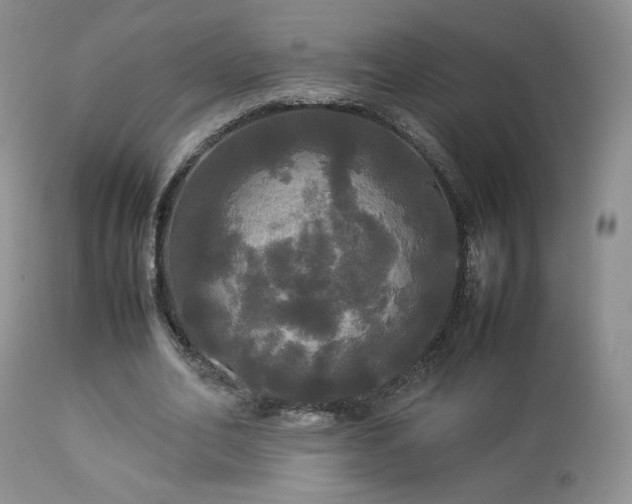 X0000112830582200908211219