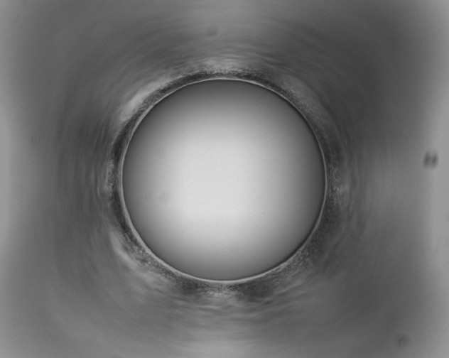 X0000112830583200908211219