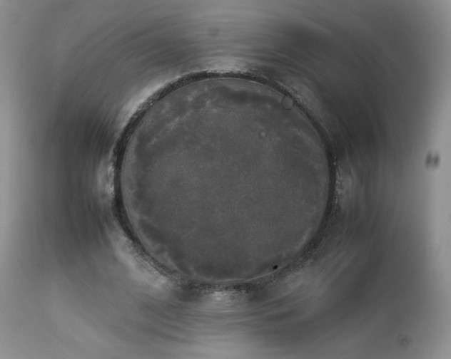 X0000112830584200908211219