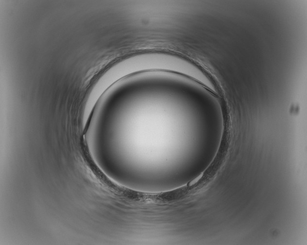 X0000112830585200908211219