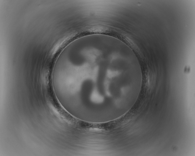 X0000112830586200908211219