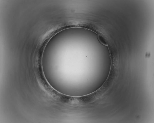 X0000112830587200908211219