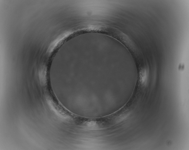 X0000112830588200908211219