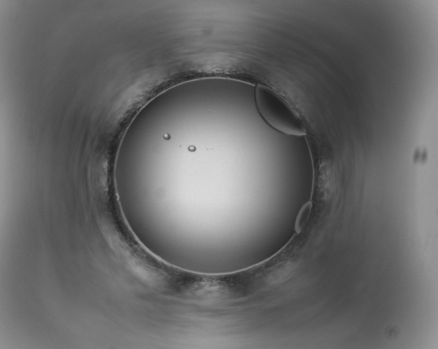 X0000112830589200908211219