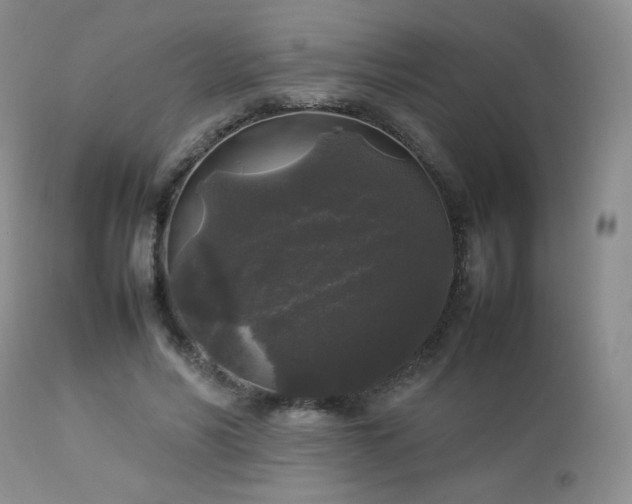 X0000112830590200908211219