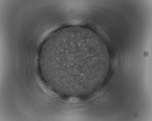 X0000112830591200908211218