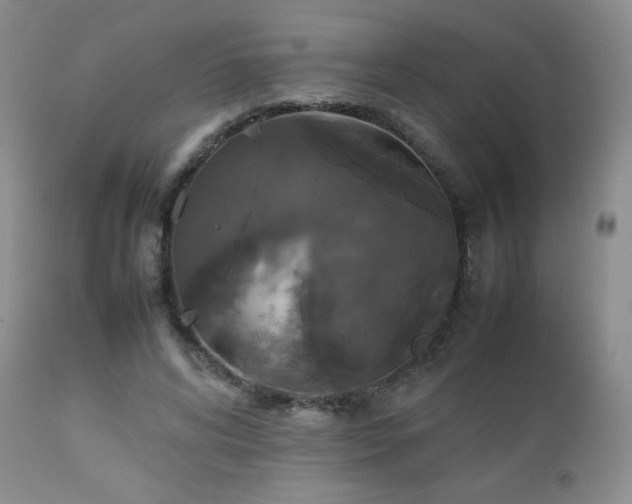 X0000112830592200908211218