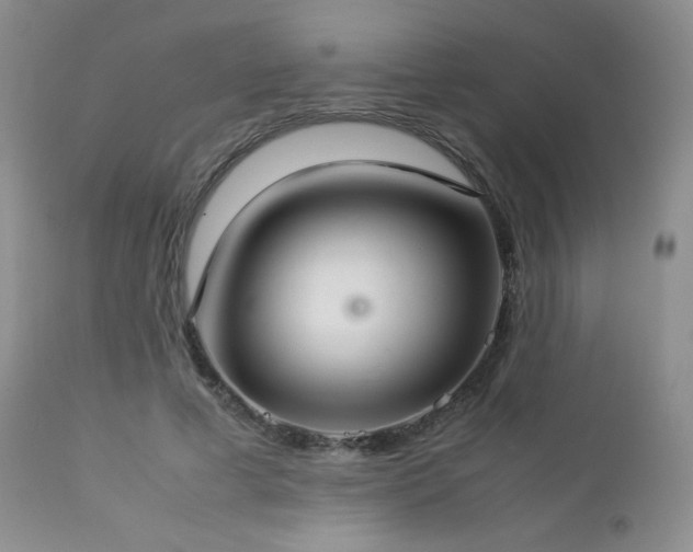 X0000112830593200908211218