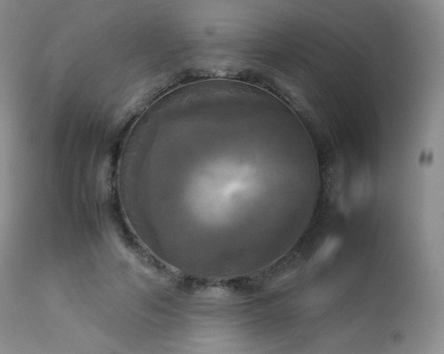 X0000112830594200908211218