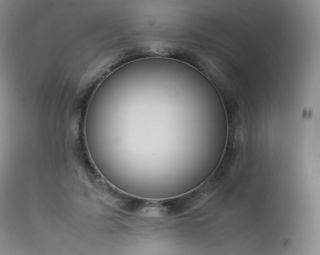 X0000112830595200908211218