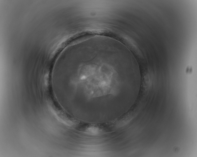 X0000112830596200908211218