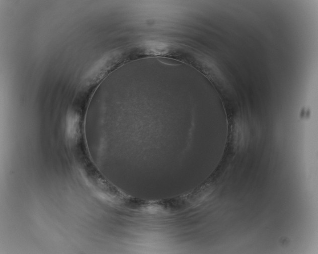 X0000112830598200908211218
