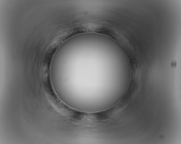 X0000112830599200908211218
